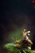 20260603-Tobias-Soeldner-0009
