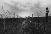 20260603-Weindler-Matthias-2