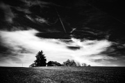 Bernhard Brause