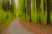 Reiner Sichler