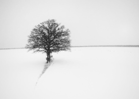 16.03.2021 - Schnee & Eis