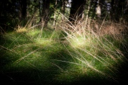 20260318-Weindler-Matthias