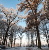 20.03.2024 - Magie des Winters