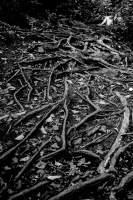 20.05.2026 - Freies Thema