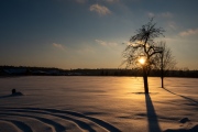 20260121-Stefan-Rutzmoser-4