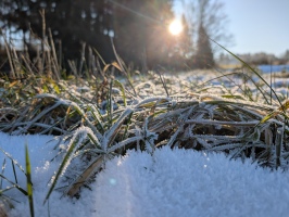 22.01.2025 - Freies Thema