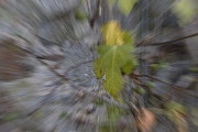 20260204-WillyFritz-3