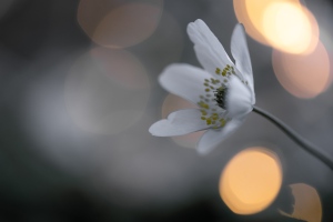 7.5.2025 - Freies Thema
