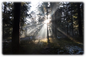 02.02.2016 - freies Thema