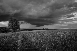 14.06.2016 - Regenwetter