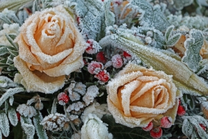 06.12.2016 - Eis und Schnee