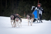 Stefan Rutzmoser - Schlittenhunderennen