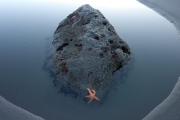 Stefan Kley - Ruby Beach, Olympic National Park, Washington, USA