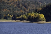Wolfgang Dobler