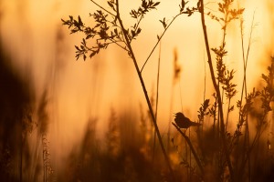 18.06.2019 - Freies Thema