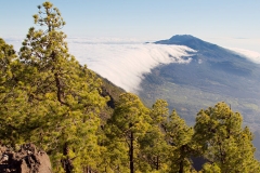 La Palma 4