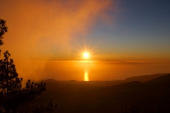 La Palma 5