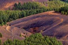 La Palma 6