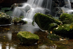 Abfluss am Kleinen Arbersee