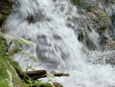Wasser