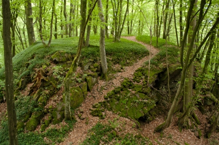 Burgberg