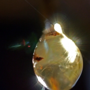 Harztropfen - ca. 6,4 mm