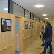 Vernissage