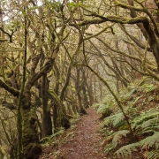 La Gomera 4