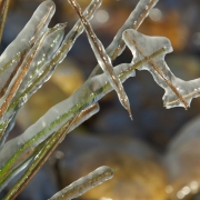 Eisstrukturen