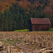 Herbststimmung im Laufenbachtal