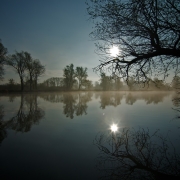 Morgenstimmung Donau