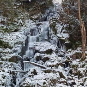 Gaisbach Dezember 2009